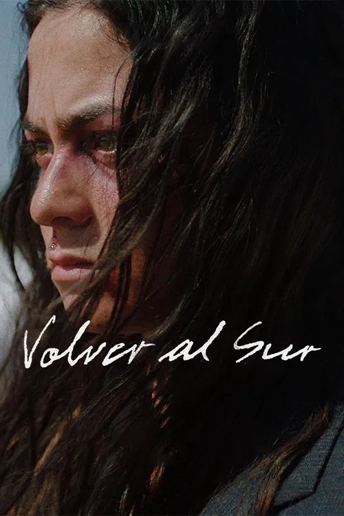 Returning South movie poster