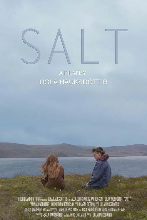 Poster do filme Salt