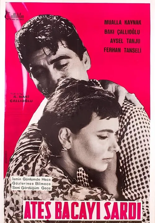 Ateş Bacayı Sardı movie poster