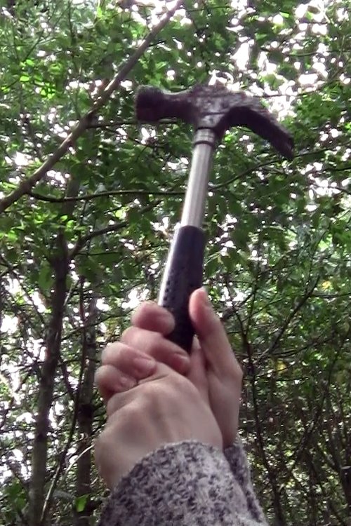 It Happened In Rural England movie poster