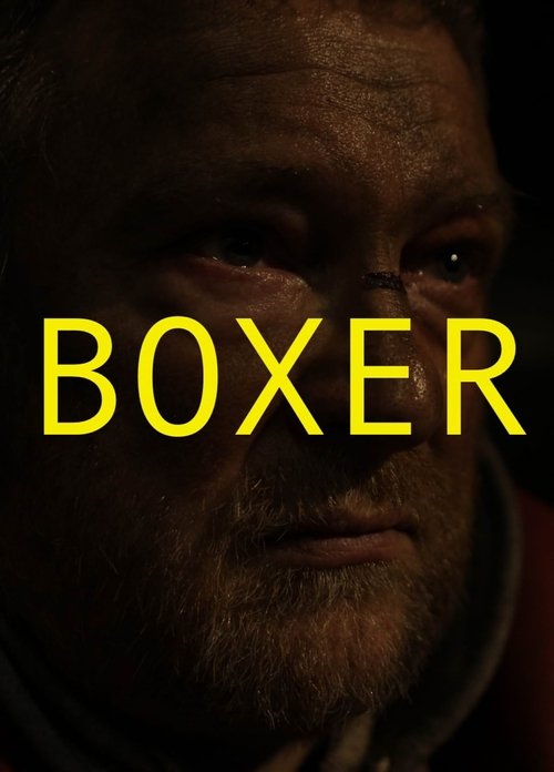 Boxer movie poster