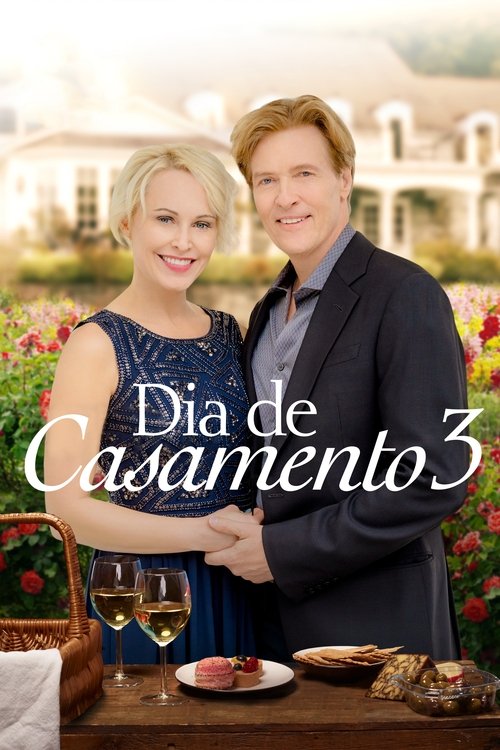 Poster do filme Dia de Casamento 3