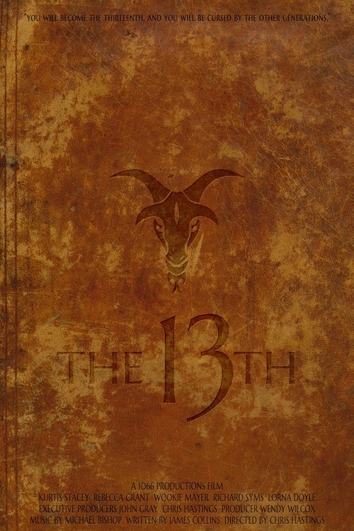 Poster do filme The 13th