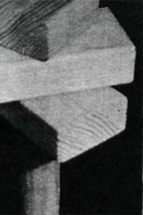 The Pioneer movie poster