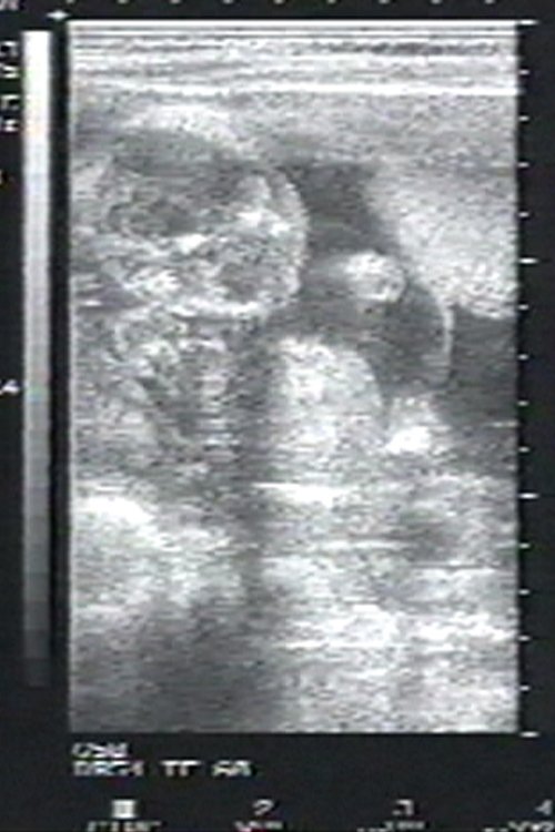 Sea of Time movie poster