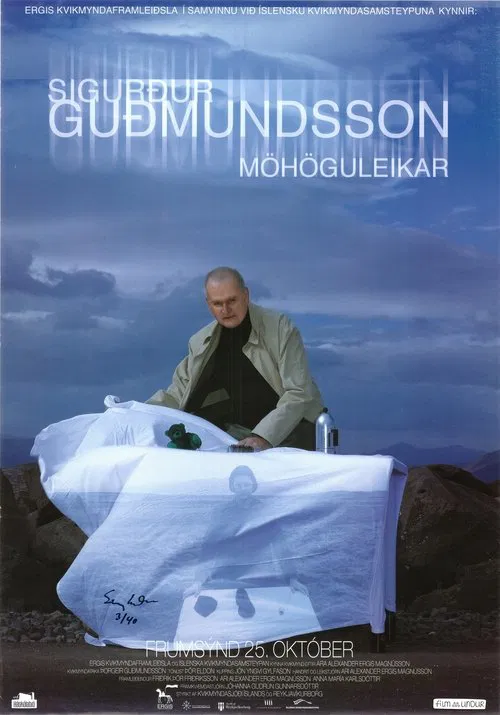 Possibihilities movie poster