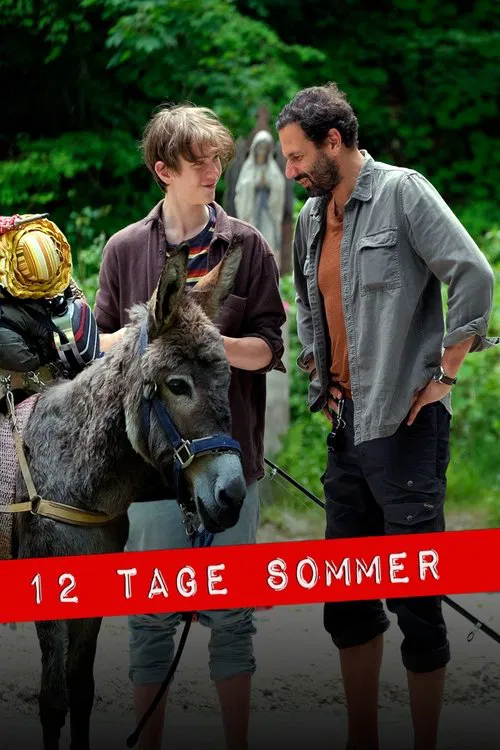 12 Tage Sommer movie poster