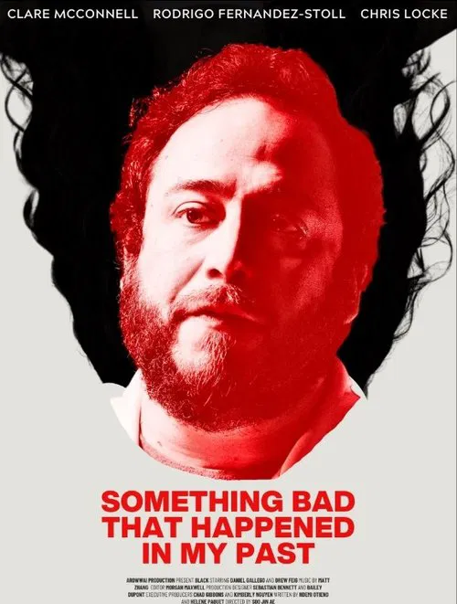 Poster do filme Something Bad That Happened in My Past