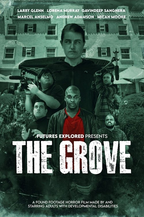 The Grove movie poster