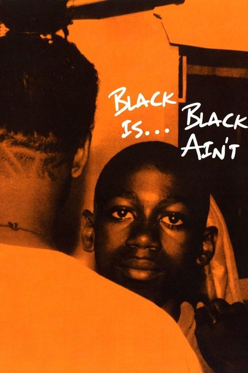Black Is… Black Ain’t movie poster