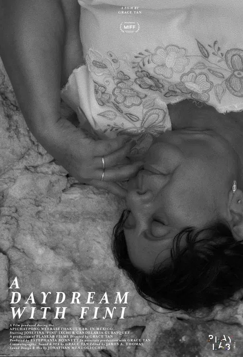 A Daydream With Fini movie poster