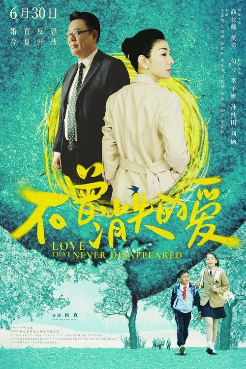 Love That Never Disappeared movie poster