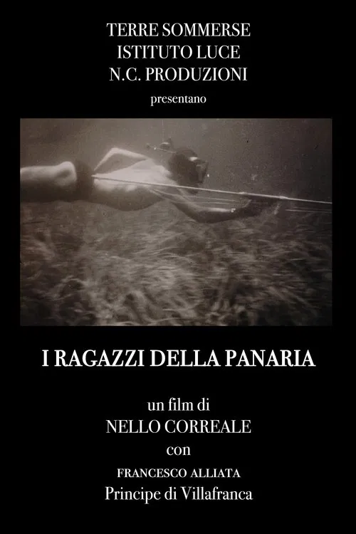 I ragazzi della Panaria movie poster