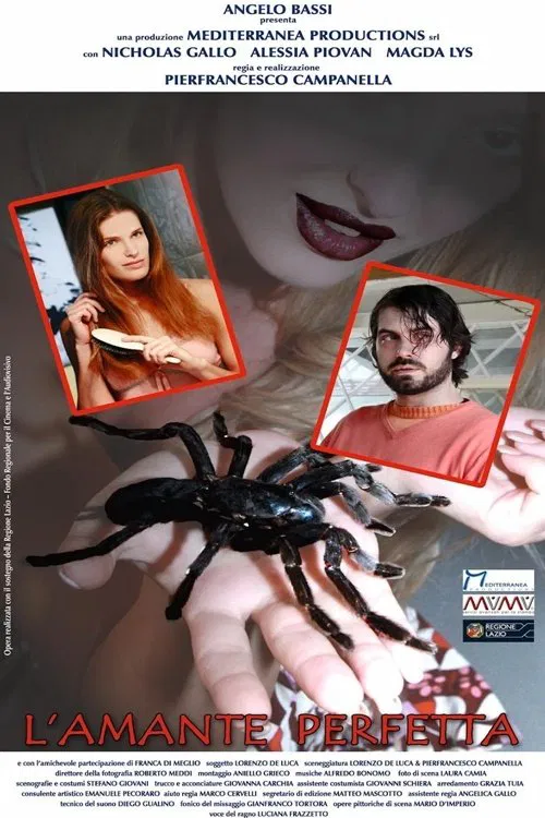 L'amante perfetta movie poster