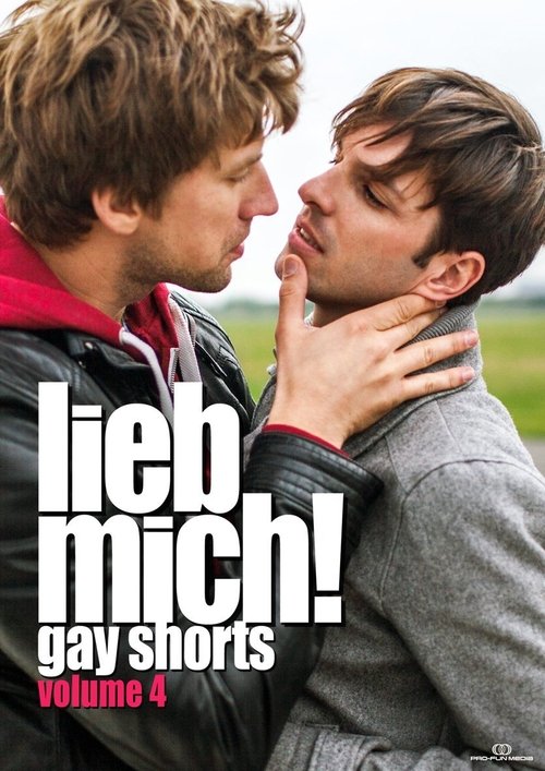 LIEB MICH! - Gay Shorts Volume 4 movie poster