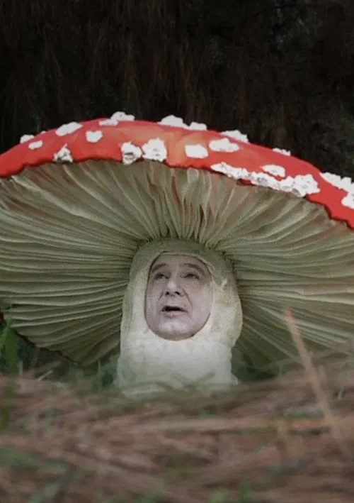 Fly Amanita movie poster