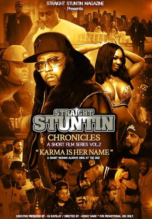 Straight Stuntin Chronicles: Volume 2 - Karma Is Her Name movie poster