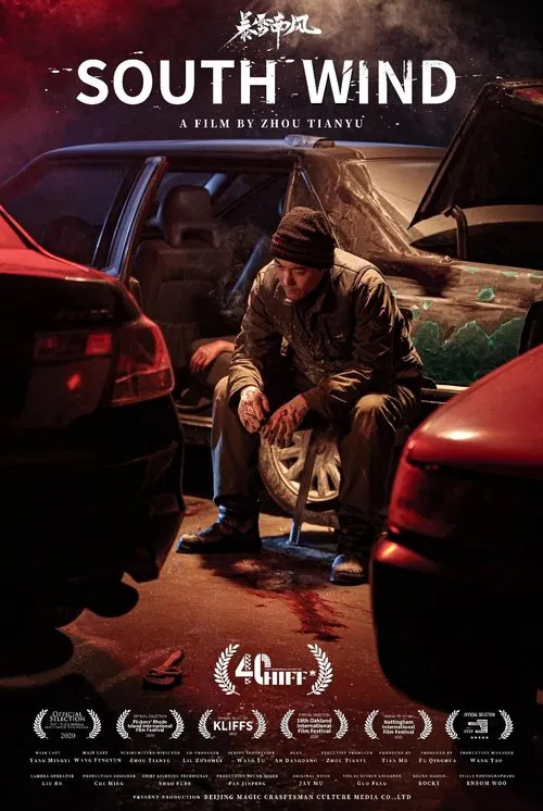 暴雪南风 movie poster