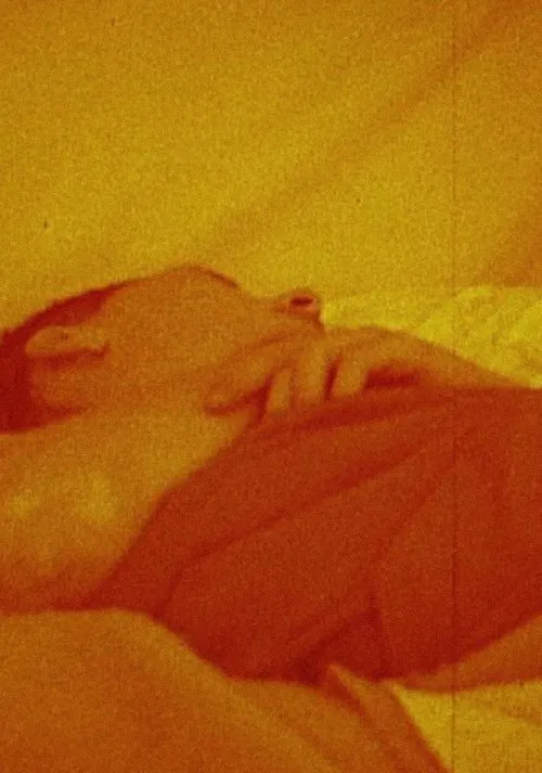 Poster do filme Five Year Diary, Reel 22: A Short Affair (and) Going Crazy (August 23–September 1, 1982)