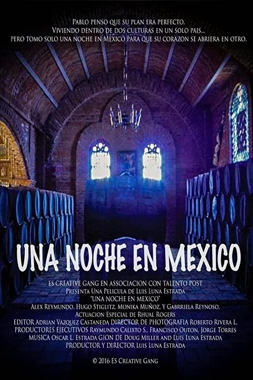 Poster do filme One Night In Mexico