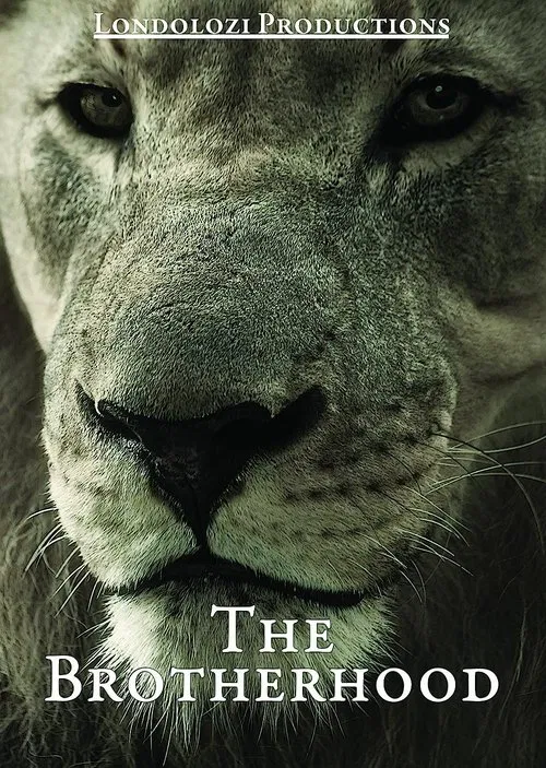 The Brotherhood movie poster