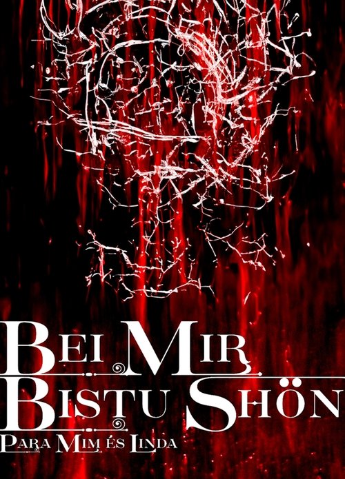 BEI MIR BISTU SHON: PARA MIM ES LINDA movie poster