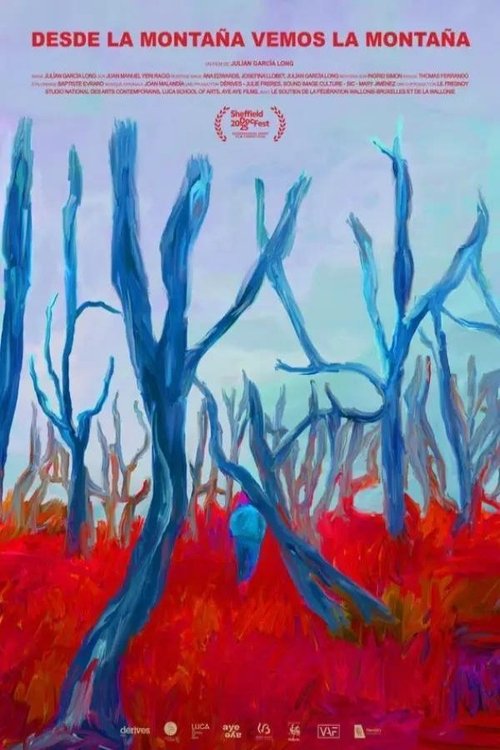 From the Mountain We See the Mountain movie poster