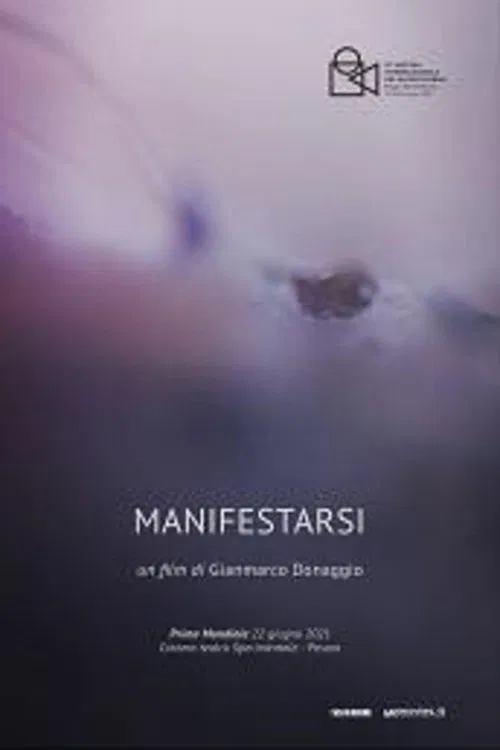 Poster do filme Manifestarsi