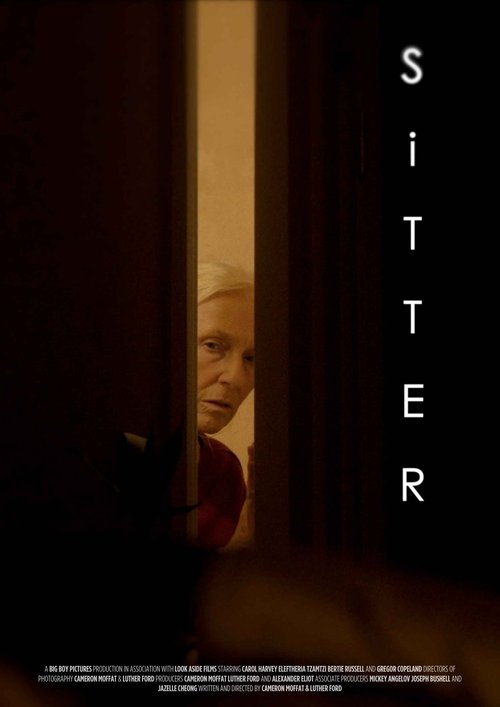 Sitter movie poster