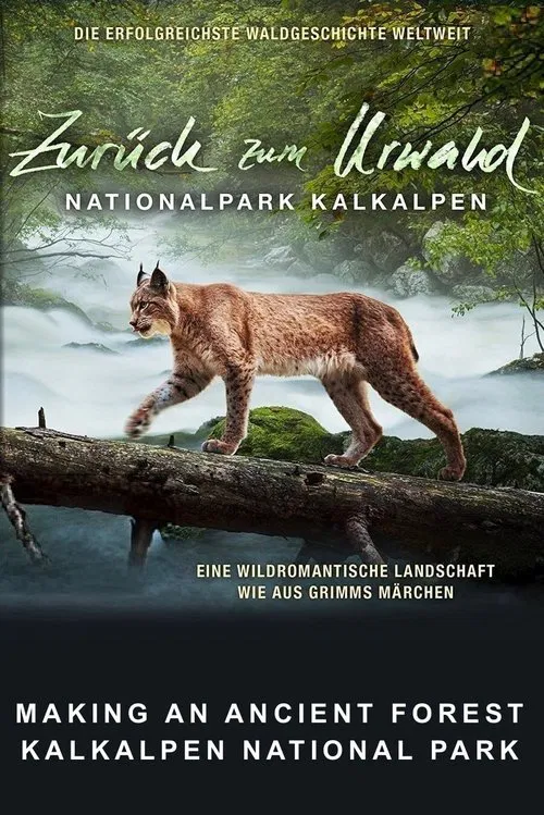 Making An Ancient Forest - Kalkalpen National Park movie poster
