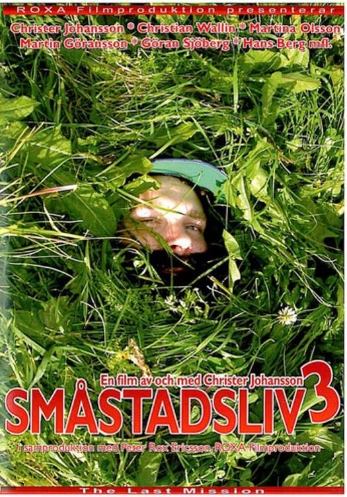 Småstadsliv 3 movie poster