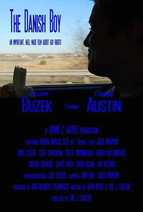 The Danish Boy movie poster