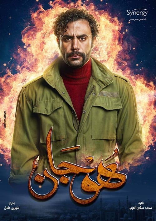 Hogan tv show poster