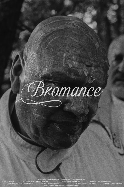 Bromance movie poster
