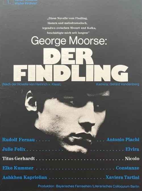 Der Findling movie poster