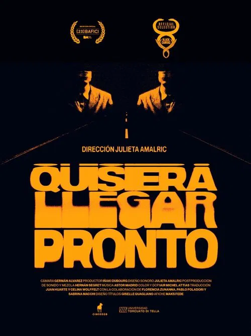 Poster do filme I wish I arrived soon