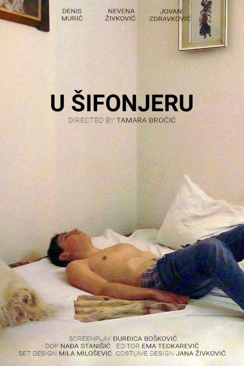 In the Closet movie poster