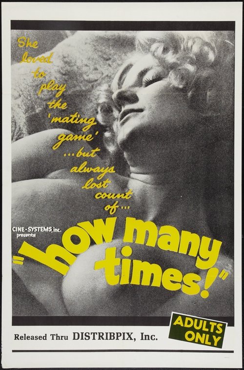 How Many Times movie poster
