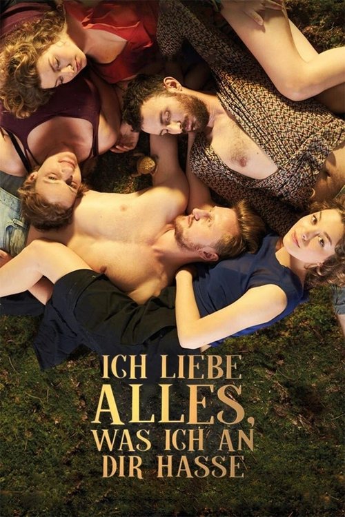 I love Everything I Hate About You movie poster