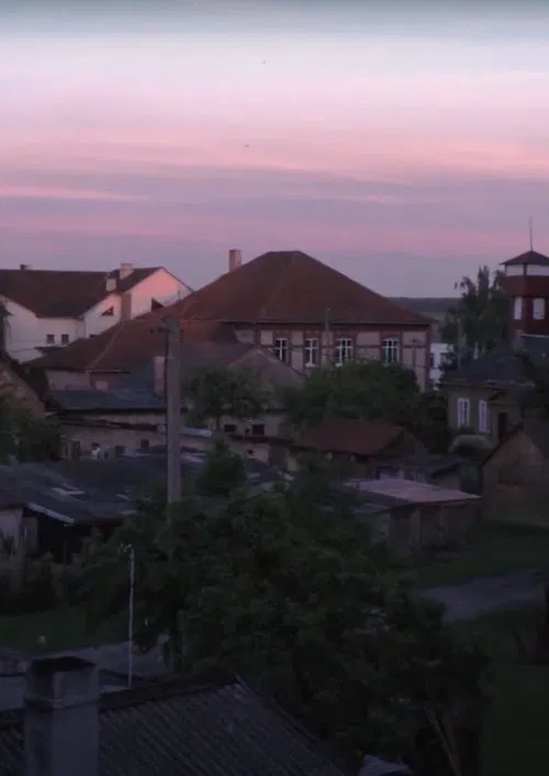 Poster do filme Peafowls Flew Away and Took My Thoughts With Them