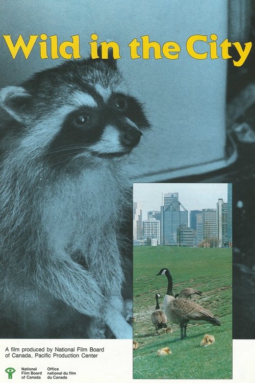 Wild in the City movie poster