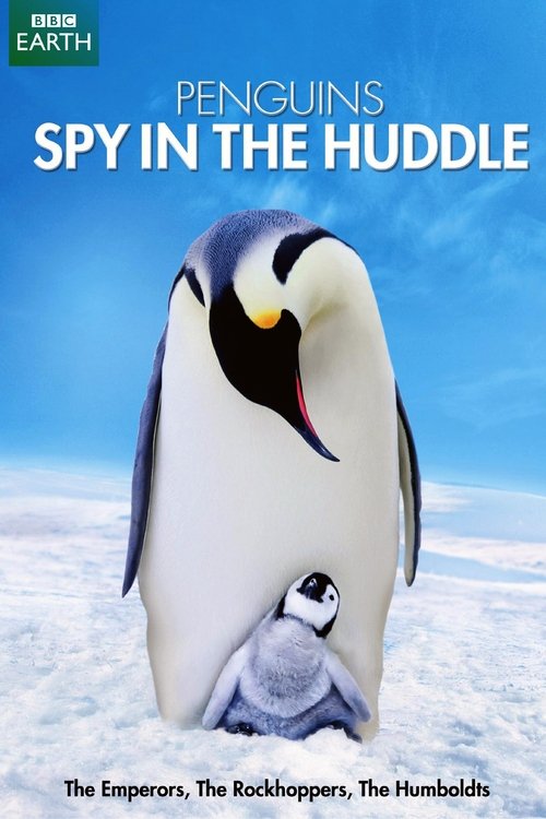 Penguins: Spy in the Huddle tv show poster
