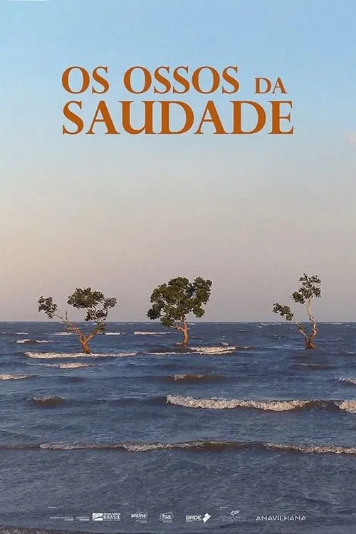 Poster do filme Os Ossos da Saudade