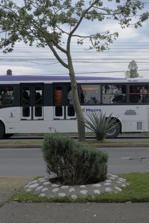 Poster do filme significantes, cinco de cinco