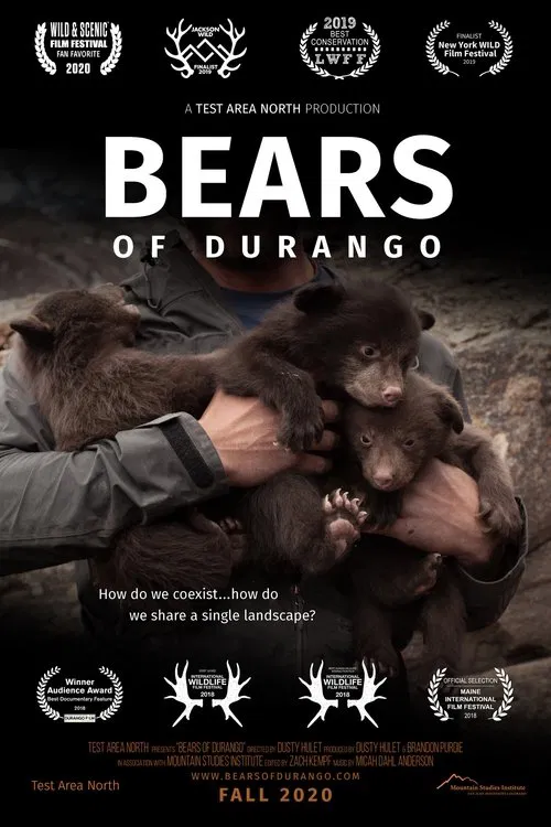 Poster do filme Bears of Durango