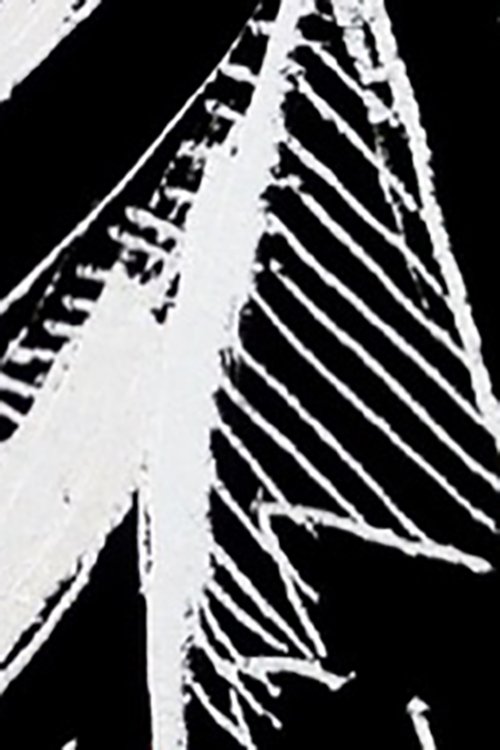 Measure movie poster