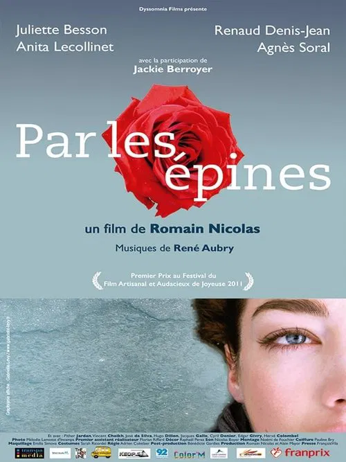 Poster do filme Par les épines - Histoire de quatre printemps