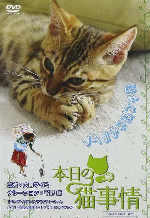Honjitsu no neko jijô movie poster