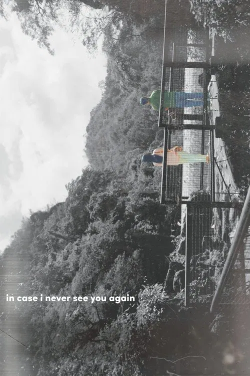 in case i never see you again movie poster