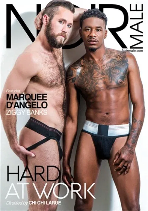 Poster do filme Hard At Work